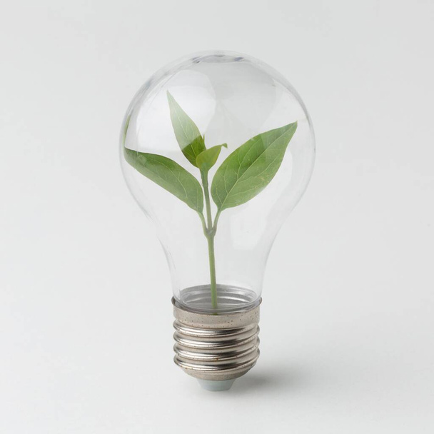 small plant inside light bulb. High quality photo - 写真・画像