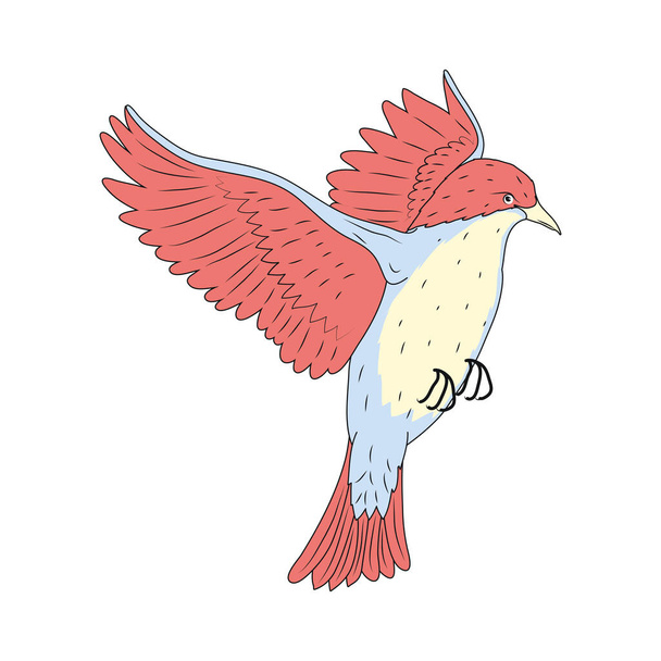 oiseau exotique volant - Vecteur, image