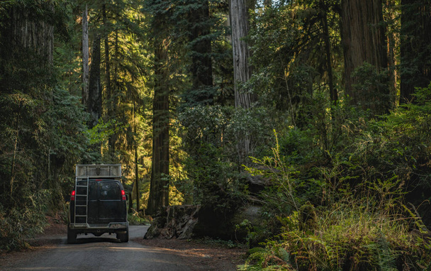 Camper Van Road Trip to the California Redwood Area Перевернений Ван між мальовничим лісом Редвуд поблизу Еврики (штат Каліфорнія, США).. - Фото, зображення