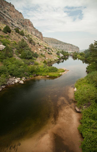 Trout in Popo Agie River at The Rise in Sinks Canyon State Park, Wyoming - Photo, Image