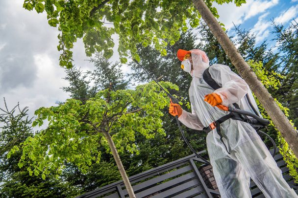 Professional Caucasian Garden Worker Spraying Backyard Trees and Plants. Garden Insecticide Job. - Foto, afbeelding
