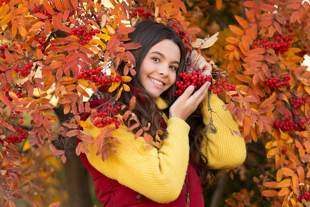 teen girl with autumn rowan leaves hold berry. happy child at rowanberry tree red branch. - Photo, Image