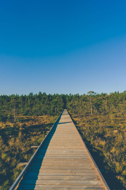 A vertical shot of a  wooden path in the middle of the field - Fotoğraf, Görsel