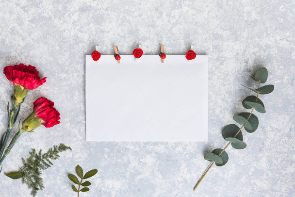 vörös szegfű virágok papírasztallal. Kiváló minőségű fénykép - Fotó, kép