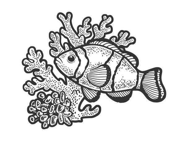 clown fish in coral sketch engraving vector illustration. T-shirt apparel print design. Scratch board imitation. Black and white hand drawn image. - Vecteur, image