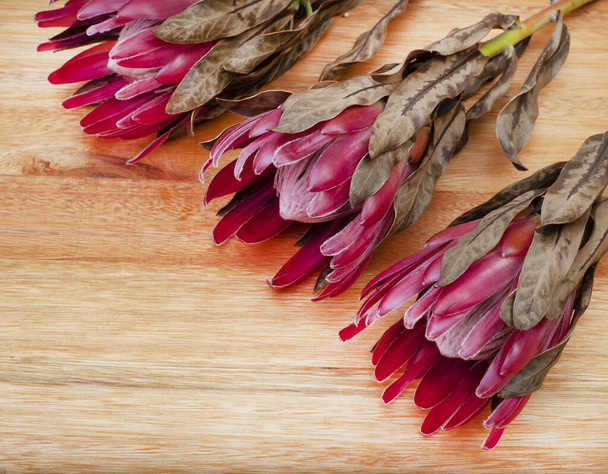 Popularny kwiat Afryki Południowej, Protea, na rustykalnym drewnianym stole - Zdjęcie, obraz