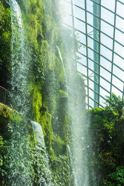 SINGAPORE, 3 OCTOBER 2019: Waterfall of the Cloud Forest in Singapore - Fotografie, Obrázek