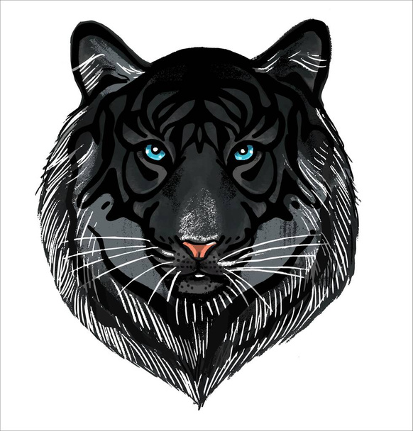 Una tigre nera su sfondo bianco. La testa è il ritratto di una bestia predatore. Il simbolo del 2022. - Vettoriali, immagini