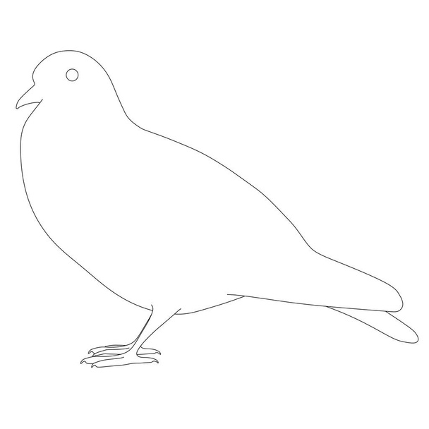 Contour of a dove from black lines isolated on a white background. Vector illustration - Vektor, kép