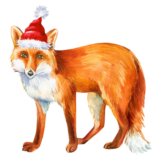 Chapeau Père Noël rouge renard coupé, isolé sur fond blanc, illustration animale mignonne - Photo, image