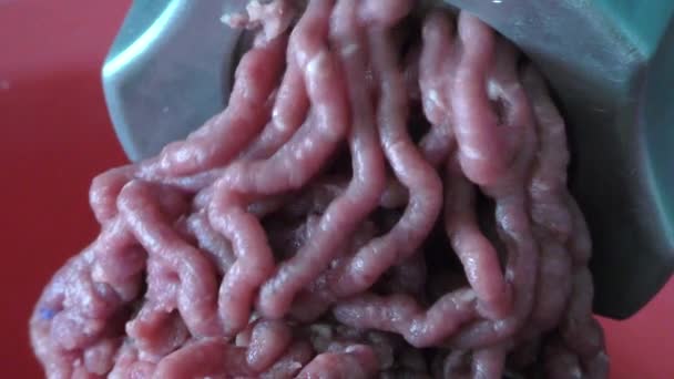 amoladora de carne transforma la carne en carne picada  - Metraje, vídeo