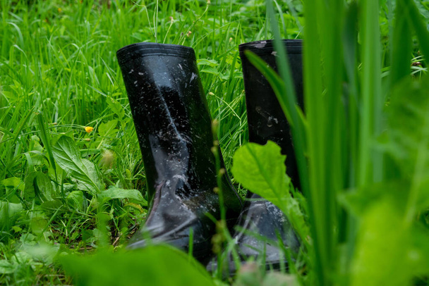 A pair of black rubber boots in the green gras - Photo, Image