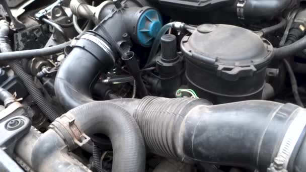 Ingénieur vérifie l'huile moteur pour l'entretien et la réparation dans un service de voiture - Séquence, vidéo