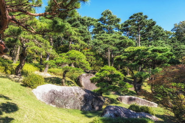Hwadam botanická zahrada borovice výhled do zahrady. Přijato v Gwangju, Jižní Korea - Fotografie, Obrázek