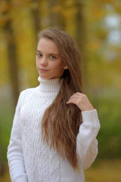 young girl brunette child in white sweater in autumn in the park - Zdjęcie, obraz
