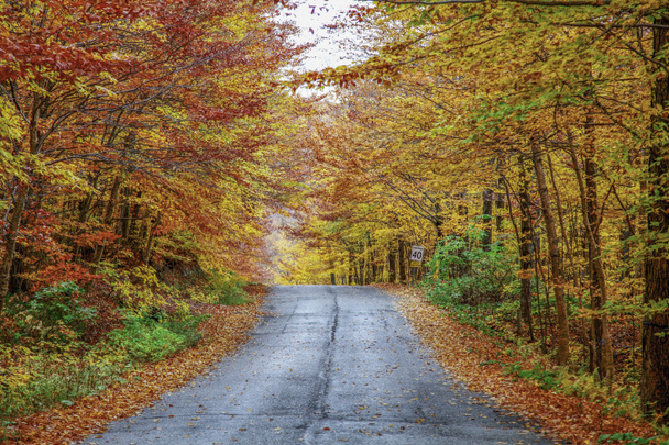 Tarde de otoño lluviosa en una carretera rural ubicada en Quebec, Canadá
. - Foto, imagen
