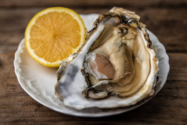 delicious raw oyster with lemon on the white plate - Φωτογραφία, εικόνα