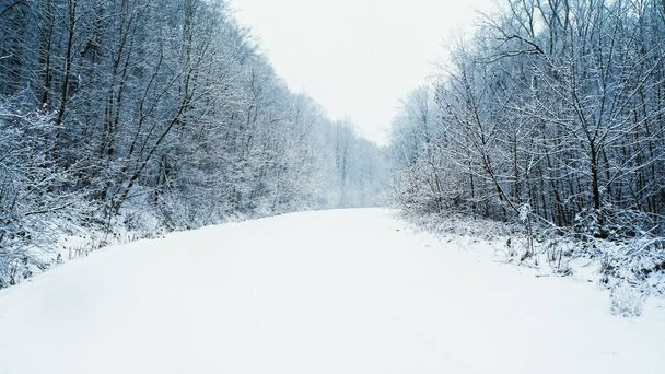 Die weiße märchenhafte Landschaft eines Zauberwaldes mit einer verschneiten Straße in den warmen Strahlen der aufgehenden Sonne. - Foto, Bild