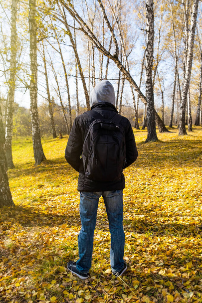 Rear View of a Young Man in the Autumn Forest Alone - Foto, immagini