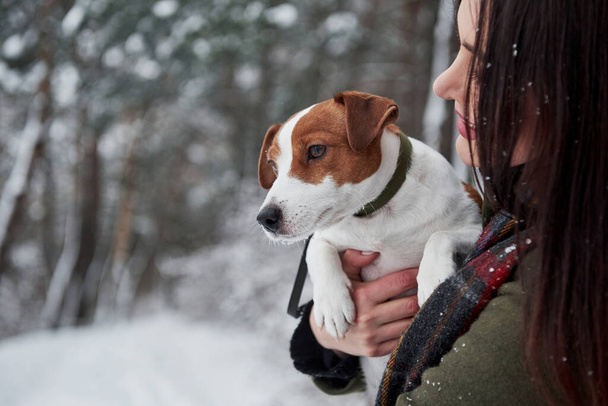 Pretty nice animal. Smiling brunette having fun while walking with her dog in the winter park. - Valokuva, kuva