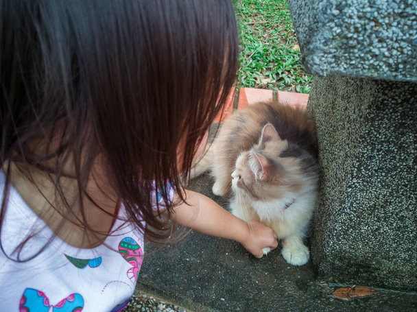 Asijské dítě hrát s kočkou v parku. - Fotografie, Obrázek