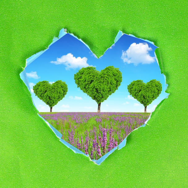 Livro verde coração
 - Foto, Imagem
