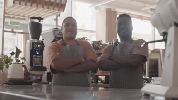 Portrait moyen rétroéclairé d'une serveuse Biracial et d'un jeune Noir debout derrière un comptoir dans un café, de collègues portant des tabliers, croisant les bras sur la poitrine, souriant et regardant la caméra, posant - Séquence, vidéo