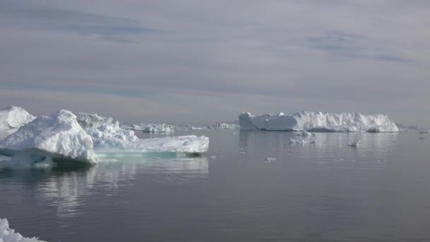 凍った海と息をのむような風景の中で、氷河や浮遊氷塊の間で北極航海 - 映像、動画