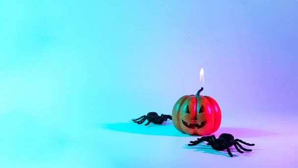 Frohes Halloween. Schwarze Nachtspinne, gruseliger Kürbis auf nächtlichem Neon-Helloween-Hintergrund. Happy Halloween Konzept. Rahmen. Kopierraum - Foto, Bild