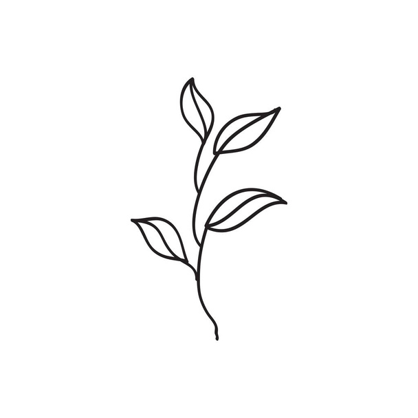 Sketch a leaf branch by hand on an isolated background. Vector, illustration - Вектор,изображение