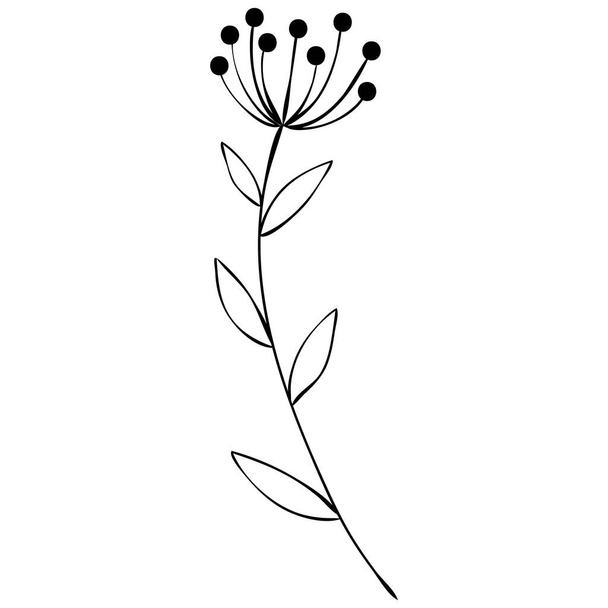 Sketch a leaf branch by hand on an isolated background. Vector, illustration - Vetor, Imagem
