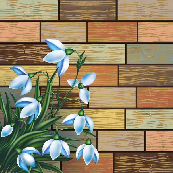 Illustratie van de lente sneeuwdruppel bloemen op de achtergrond van armoedige houten planken met gebarsten kleur verf - Vector, afbeelding