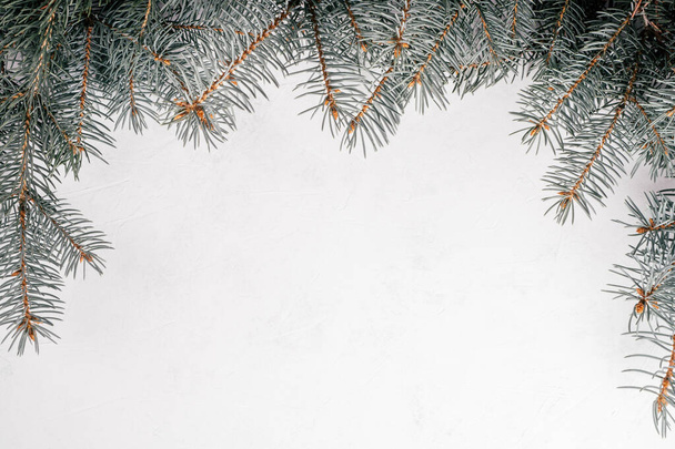 Background image of white uneven concrete surface with Christmas tree branches. Top view. Copy space - Photo, Image