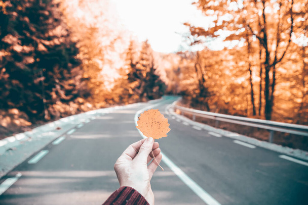 Hand holds yellow leaf on the background of autumn curvy road - Photo, image