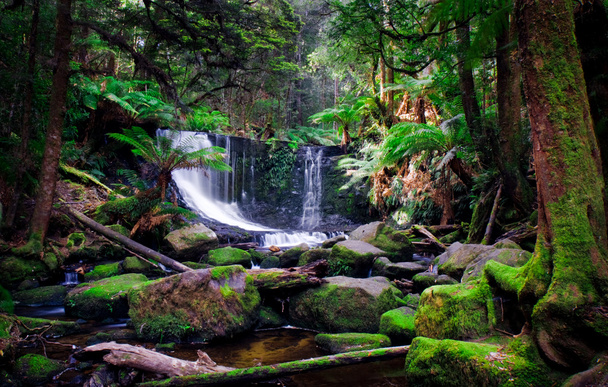 Stunning Waterfall - Photo, Image