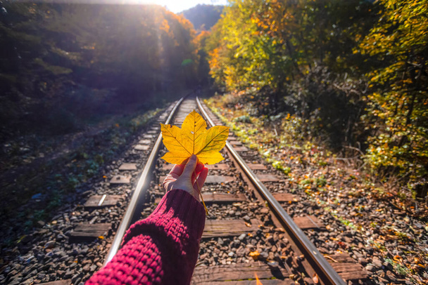 Moody photo of hand holding yellow maple leaf on the background of autumn train railway - Foto, immagini