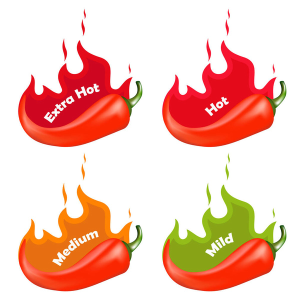 Chili Pepper Spice Levels. Hot pepper sign with fire flame for packing spicy food. Vector illustration. - Vector, Image
