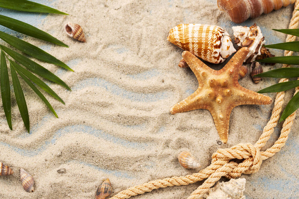 conchiglie stelle marine sabbia. Foto di alta qualità - Foto, immagini