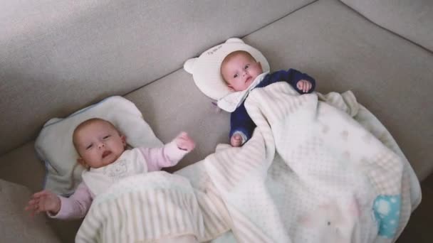 Dos hermanas se acuestan en el sofá en casa. Dos bebés gemelos en el sofá - Metraje, vídeo