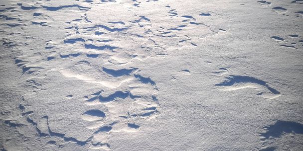 Neve à deriva, a transferência de partículas de neve anteriormente caída pelo vento sobre a superfície da cobertura de neve - Foto, Imagem