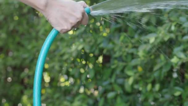 Watering tree. Woman arms are using water spraying hoses. Woman gardener with hose for watering the plants and trees in home garden. Injection of water from rubber tube. Watering the plants backyard. - Footage, Video