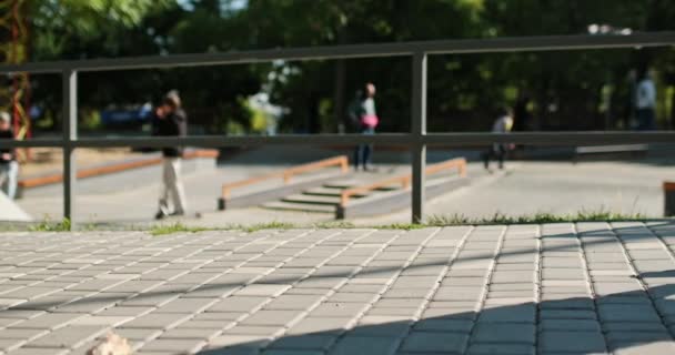Junge Frau skatet auf Penny-Board auf gepflasterter Parkstraße - Filmmaterial, Video