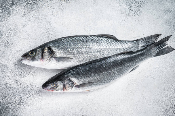 Fresh raw seabass fish on kitchen table. White background. Top view - 写真・画像