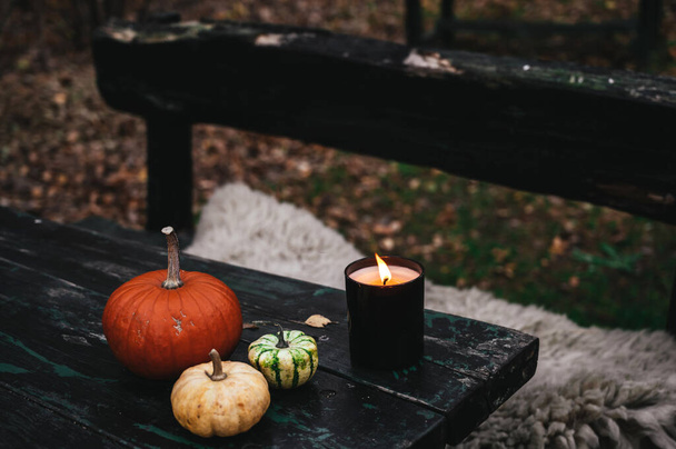 Pumpkins and burning candle on old wooden table outside. Fur on bench. Autumn comosition. - Photo, Image