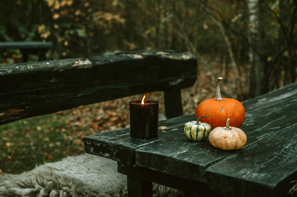 Dýně a hořící svíčky na starém dřevěném stole venku. Kožich na lavičce. Podzimní kompozice. - Fotografie, Obrázek