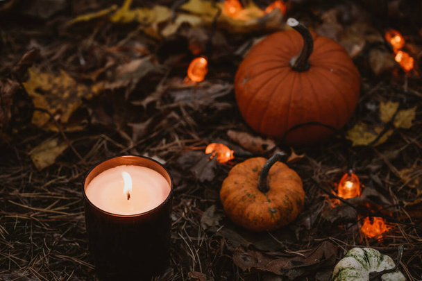 Close-up of decorative pumpkins, candle and garland on ground with dry grass and fallen leaves. - Foto, afbeelding