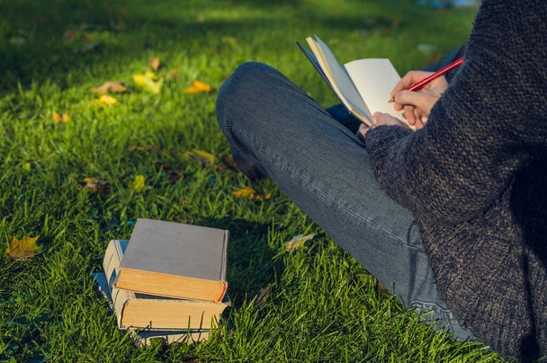 Student is sitting in the park on the grass and making notes. A stack of books. Pond on background. - Fotoğraf, Görsel