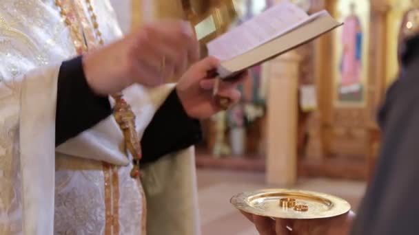 Kirkon pappi vihkimisen aikana vihkii morsiamen kultaisia vihkisormuksia  - Materiaali, video