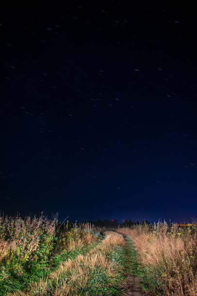 starry night in the field - Photo, image