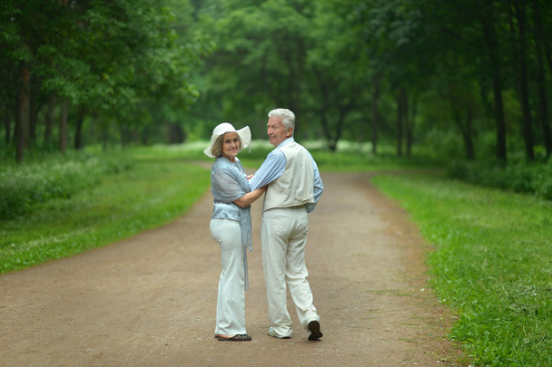 Senior couple in summer park - 写真・画像